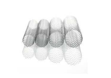 The Protege GPS Self-Expanding Nitinol Biliary Stent System from EV3